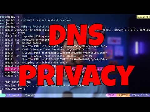DNS Explained: Demystifying Domain Names, Resolvers & Secure Lookups (DoT & DNSSEC)