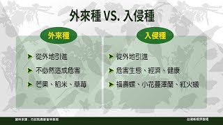 【台灣新眼界】20230404 生態無照甲子？人類棄養.野放！外來入侵種的生態悲歌！