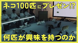 【検証】 100匹中何匹のネコが‘’ヤマト運輸の環境への取り組み’’に興味を持つの！？【モニタリング】