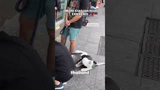 Vibrant Khao San Road Experience - bangkok