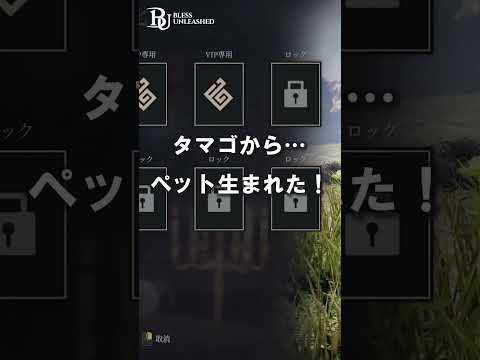 【BLESS UNLEASHED】タマゴからペット生まれるの章 #Shorts【Pmang】