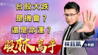 中視【股林高手】20220519 #林鈺凱：台股大跌是機會？還是命運？ #中視 #中視新聞 #股林高手