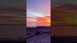 wonderful sky colour#near Lake view#music nature ❤️