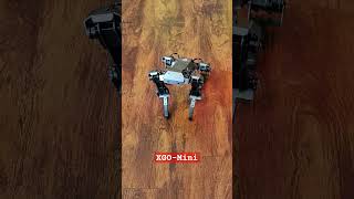 XGO-Mini Robot- is a desktop-sized AI quadruped.  #XGO #xgomini #xgominirobot #robot #realrobot