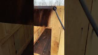 Doghouse progress
