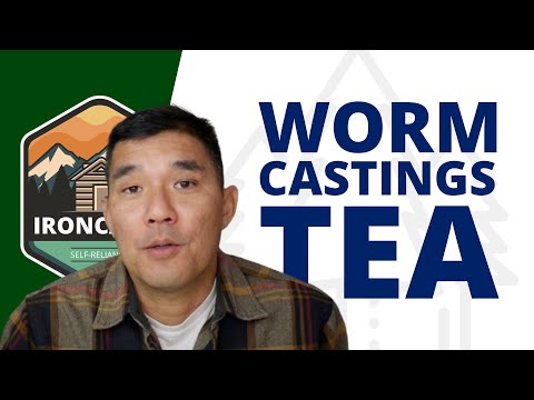 How to Make Small Batch Worm Castings Tea