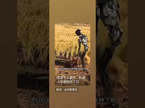 你敢相信嗎現在割稻穀都用機器人了