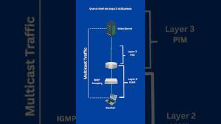 Multicast en Redes: ¿Por Qué Es Más Eficiente Que Unicast?