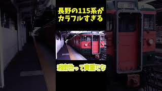 唯一残る115系がクセ強すぎる　#shorts  #鉄道 #ゆっくり解説 #115系