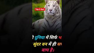top 5 fact | fact video | #viral #factvideo #shortvideo #facts #viralvideo #tranding #sorts #song