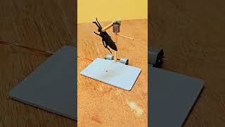 #trap #diy #techdiy