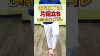 実はすごい 片足立ち 1時間 歩くよりコレ ！足裏強化でさらにバランス能力アップ  #片足立ち #ダイナミックフラミンゴ療法 #short