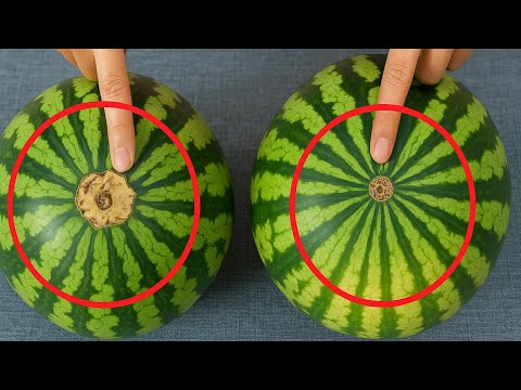 Just Look At These Points To Pick Fresh, Juicy Watermelons!
