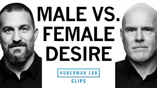 Why Men & Women Show Attraction Differently | Dr. Michael Platt & Dr. Andrew Huberman