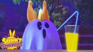 Spooky Ghost - Sunny Bunnies | Cartoons For Kids