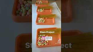 #stemproject