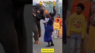 Ranu Ranu New Folk Song#ViralVideo#Ai#Trending#Shorts🔥🔥Pukulmtv