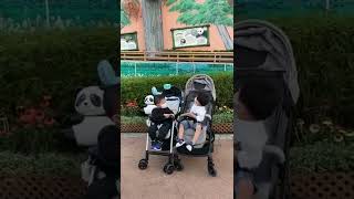 第一次去海洋公園