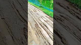 #nature #ttcommunity #love #ttt #song #tte #funny #ttofficial #farming #ttmusic