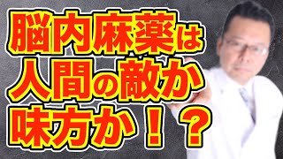 [Brain chemicals] Is dopamine an enemy or an ally of humans? [Psychiatrist Shion Kabasawa]