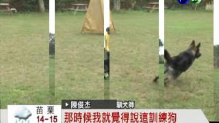 亞洲第一馴犬師 台灣人的驕傲!