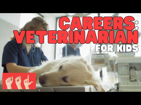 ASL Careers: Veterinarian for Kids
