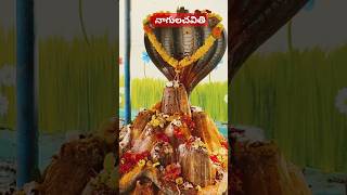 #నాగుల చవితికి మా పూజ#చాగంటి కోటేశ్వరరావు #youtube #life🙏🙏🙏🙏🙏