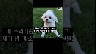 성(우)알못이  EBS 28기 성우공채 에 지원할 구성다큐를 녹음한다면?#shorts