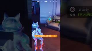 【下手っぴでもフォートナイトがしたい！】おんどりゃぁぁぁ！！！#フォートナイト #fortnite #フォートナイトキル集 #fortniteclips