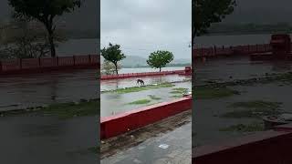 #jalmahal #jaipur #status #like #shortvideo #viral #trending #jaipur #jaipur #religion #amer