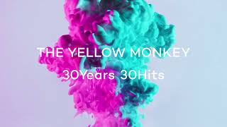 THE YELLOW MONKEY – Tactics -2022 Remaster- (Official Audio)