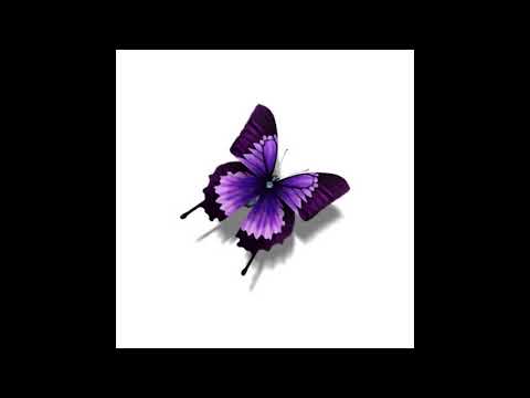 麗華（インストゥルメンタル）トラックダウン盤