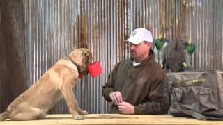 Introduction to Force Fetch