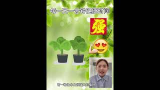 日本最长寿的植物是什么？