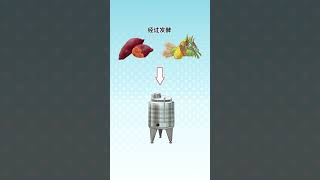 清淡的低度烈酒 韩国烧酒