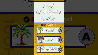 General knowledge Questions and Answers GK Quiz #shorts #shortsfeed #trending #ytshorts #quiz