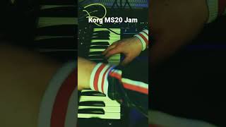 Jam with my KORG MS20 #korg #analogsynthesizer #ms20 #korgms20