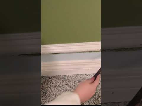 DIY Baseboard Hack #short