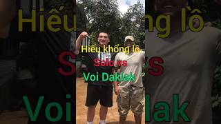 Top 1 sever Hiếu Khổng Lồ solo với Voi Daklak - Búa của thor và bẻ Thanh lò xo 130kg