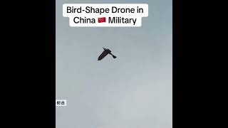 Bird Shape Drone in China Military.#chinadrone #chinesedron chinauav #chinamilitary#chinesemilitary