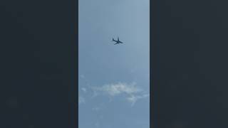 Southwest 737 Flying into DCA #shorts #landing #aviation #planes #aviationlovers