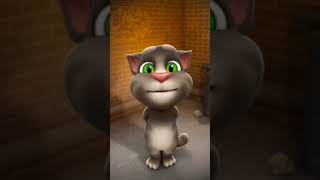 #trending #funny #comedy #cat #bilibili