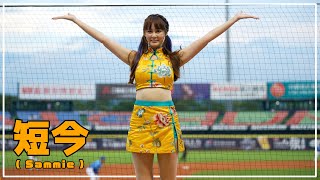 短今（Sammie）Passion Sisters 中信兄弟啦啦隊 臺中洲際棒球場 2022/08/28【台湾チアTV】