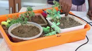 SOIL MOISTURE SENSOR USING SMART IRRIGATION IN AGRICULTURE
