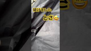毎回、何かが使用できなくなる😅　#キャンプ好きと繋がりたい #ソロキャンプ好きと繋がりたい #キャンプあるある #shorts #short