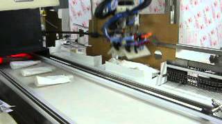Robotic Packaging System