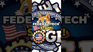 FEDERAL TECH STAFFERS RESIGN OVER MUSK'S DOGE