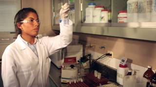 Alltech Serdan – A Mexican Story of Sustainable Agriculture
