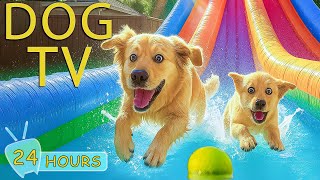 DOG TV: Best Video Anti-Anxiety All Day for Dogs to Watch When Home Alone - Happy Music for Dogs