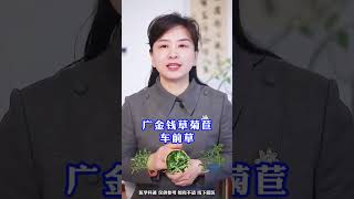 路边3颗野草，痛风的人，不要错过 #痛风 #尿酸高 #尿酸盐结晶 #痛风石 #健康科普